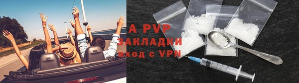 эйфоретик Няндома