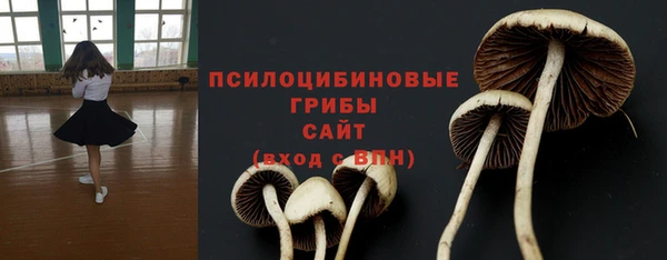 гидра Алексин