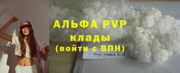 гидра Алексин