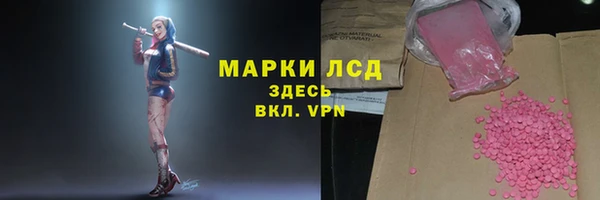 гашик Алексеевка