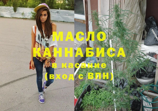 гашик Алексеевка