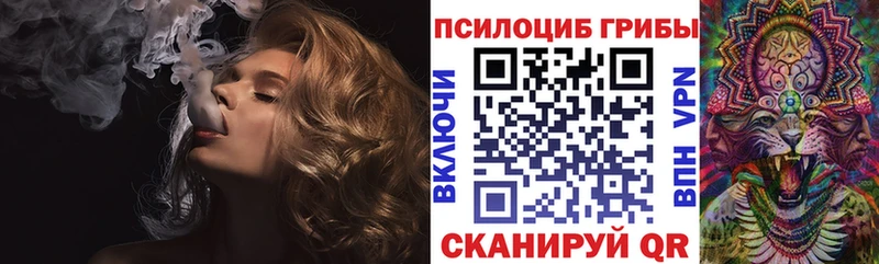 блэк спрут зеркало  как найти наркотики  Керчь  Галлюциногенные грибы Cubensis 