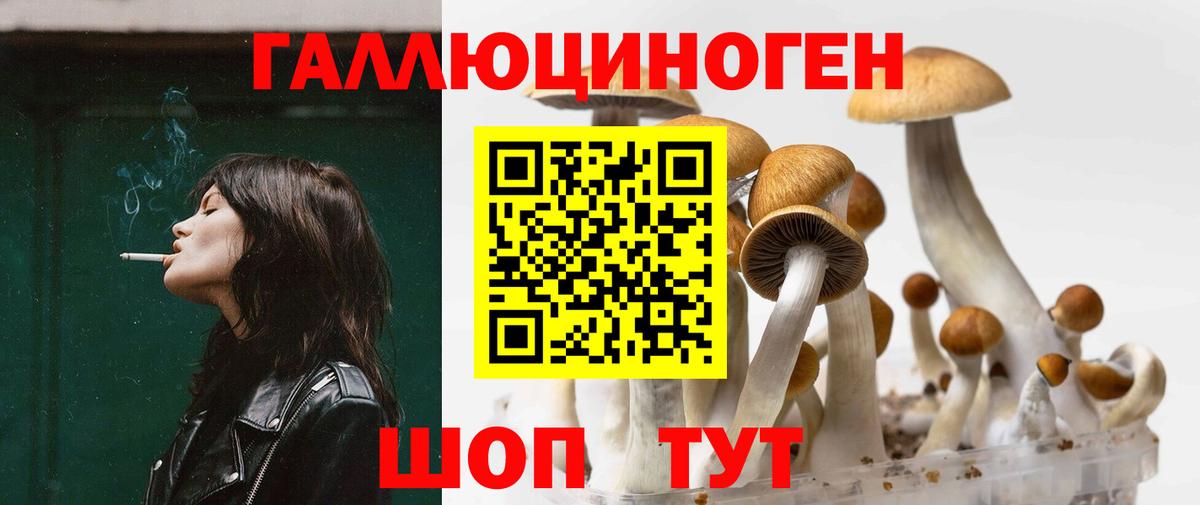 закладки  Псилоцибиновые грибы MAGIC MUSHROOMS  Керчь  Вход с VPN  Галлюциногенные грибы прущие грибы 